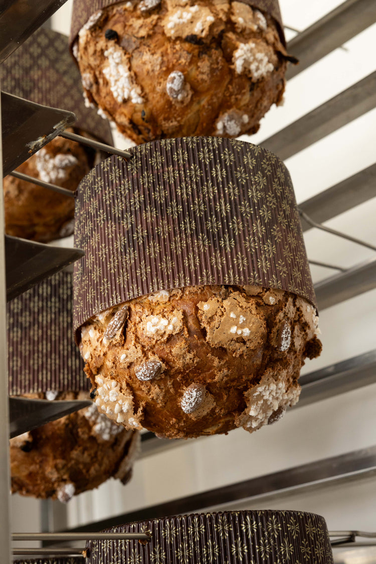 Artisanal Panettone